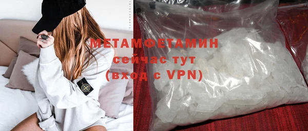 прущие грибы Беломорск