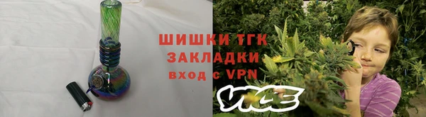 прущие грибы Беломорск