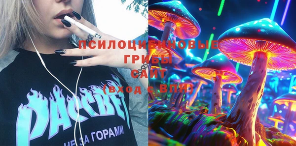 прущие грибы Беломорск