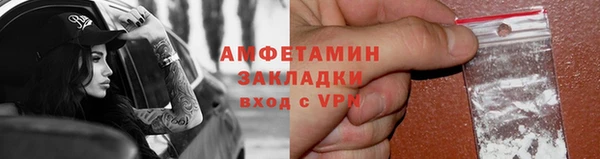 прущие грибы Беломорск