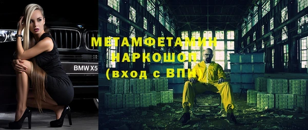 прущие грибы Беломорск