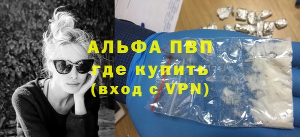 прущие грибы Беломорск