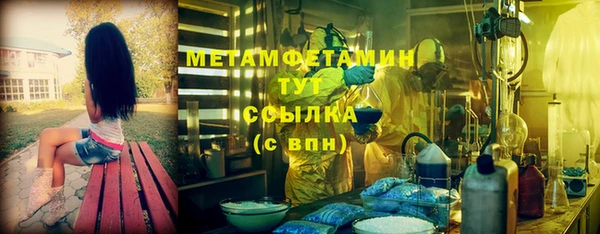 прущие грибы Беломорск