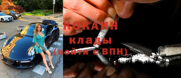 прущие грибы Беломорск