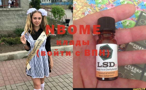 прущие грибы Беломорск