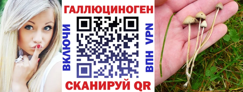 Галлюциногенные грибы GOLDEN TEACHER  darknet клад  Курильск 